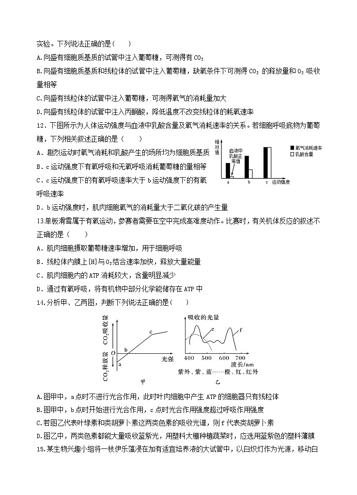 宁夏银川市第二中学2022-2023学年高三上学期统练三生物试题第3页
