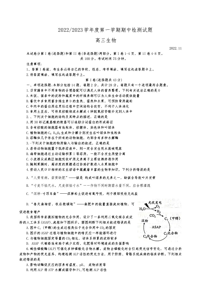 2023扬州中学高三上学期期中考试生物试卷含答案01