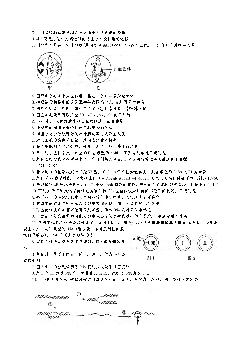 2023扬州中学高三上学期期中考试生物试卷含答案02