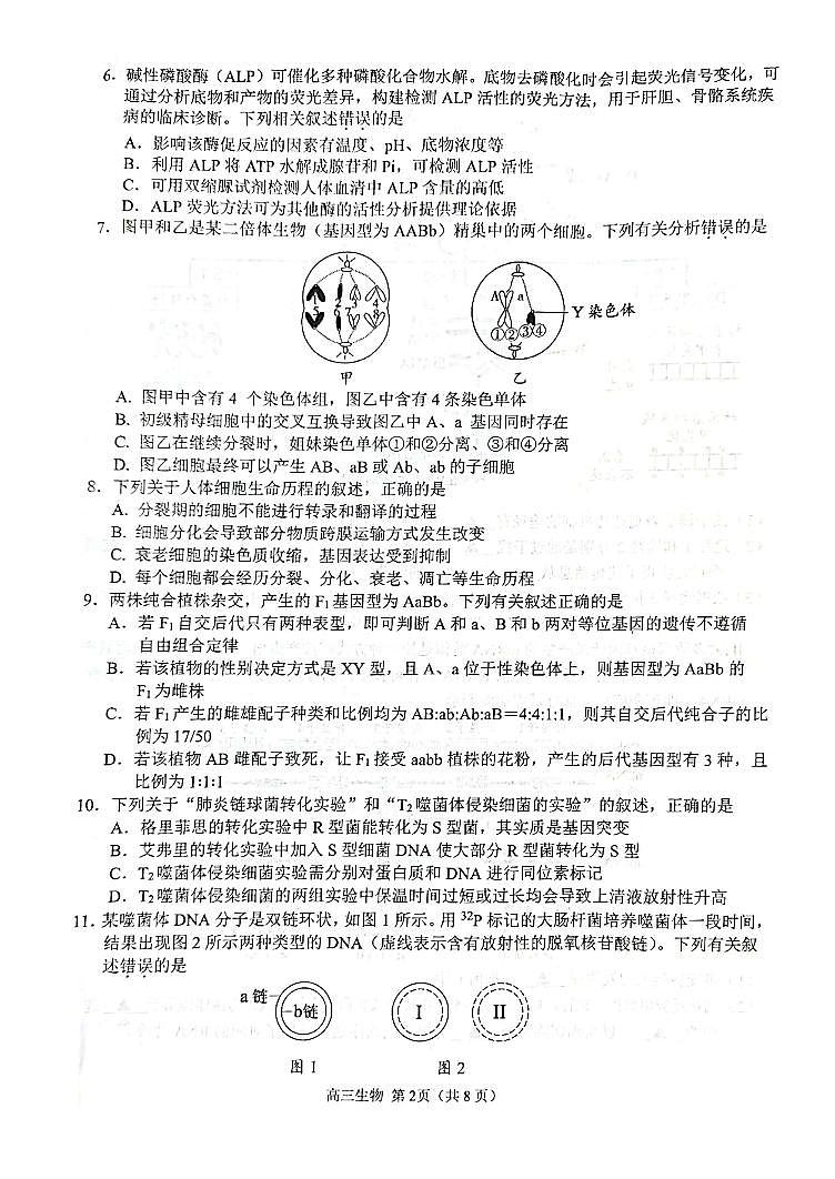 2023扬州中学高三上学期期中考试生物试卷含答案02