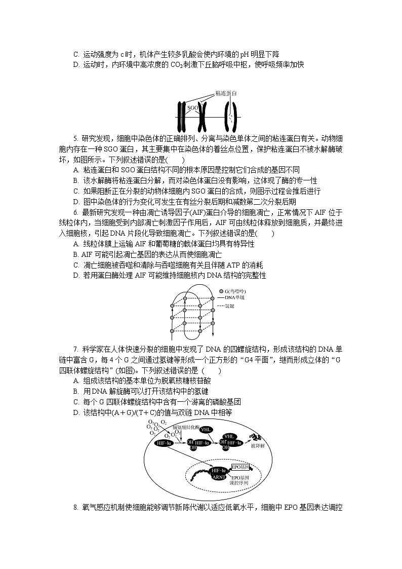 2021南京师大附中高三下学期5月模拟考试生物含答案02