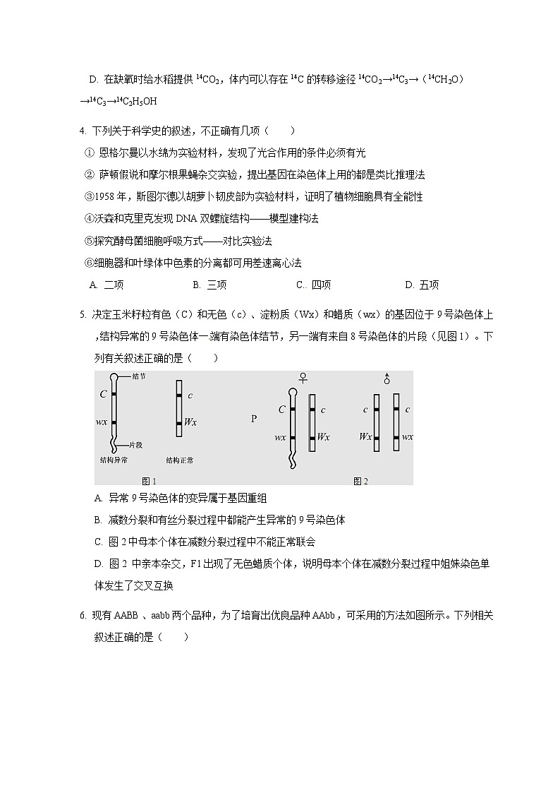 2020内蒙古包钢一中高三上学期期中考试生物含答案第2页