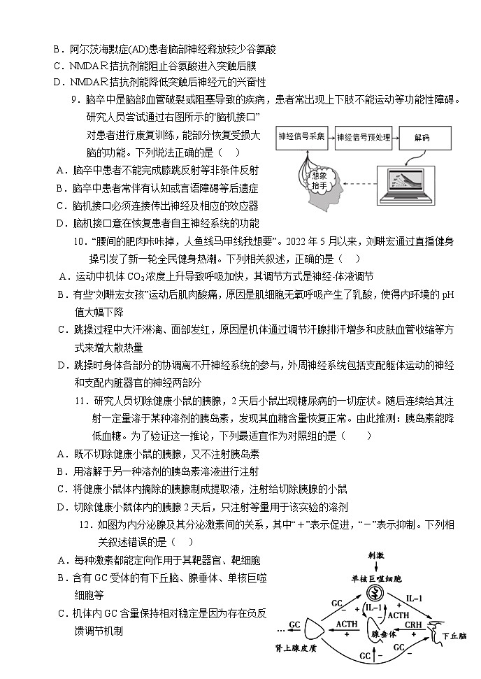 2023郧阳中学、恩施高中、沙中学、随州二中、襄阳三中等五校高二上学期11月联考生物试题含答案03