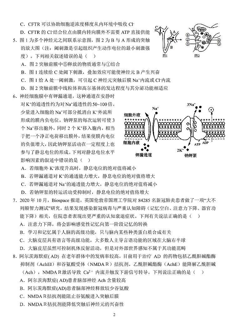 2023郧阳中学、恩施高中、沙中学、随州二中、襄阳三中等五校高二上学期11月联考生物试题含答案02