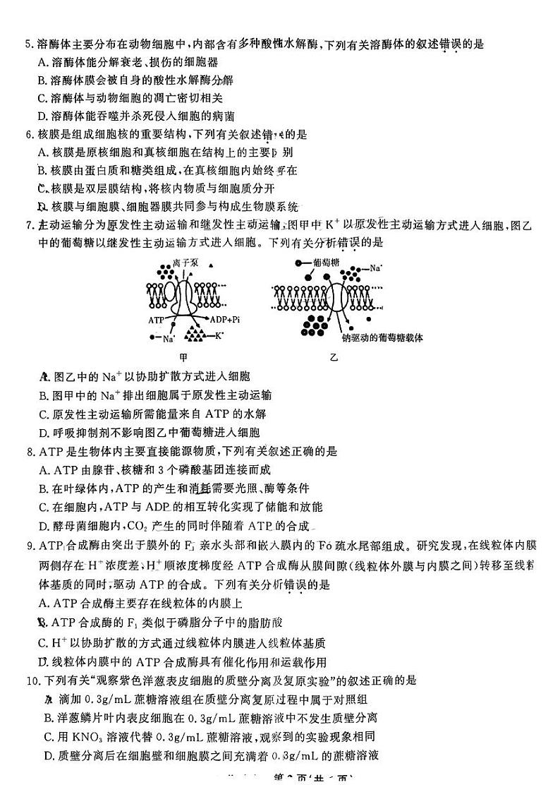 江西省九江市十校2022-2023学年高三上学期11月联考生物试题02