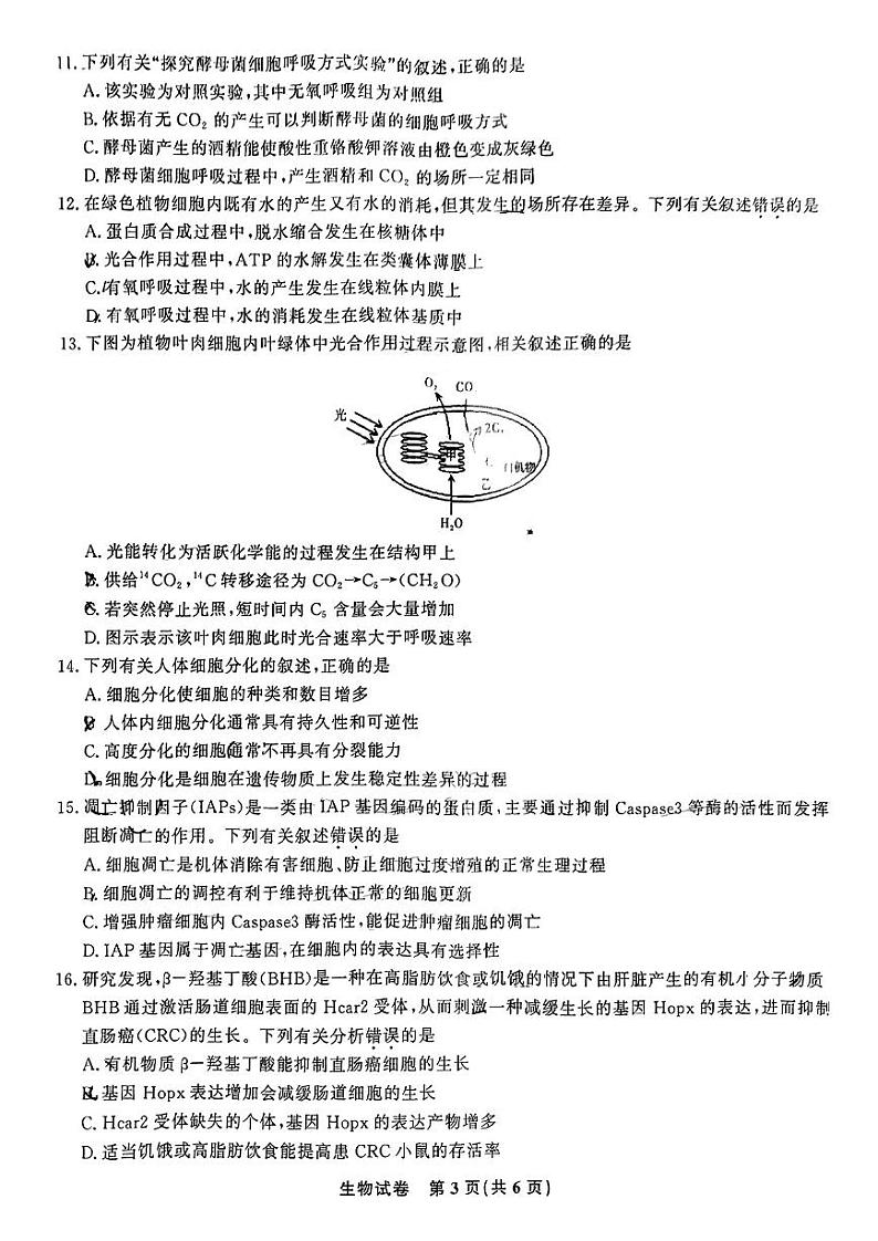 江西省九江市十校2022-2023学年高三上学期11月联考生物试题03