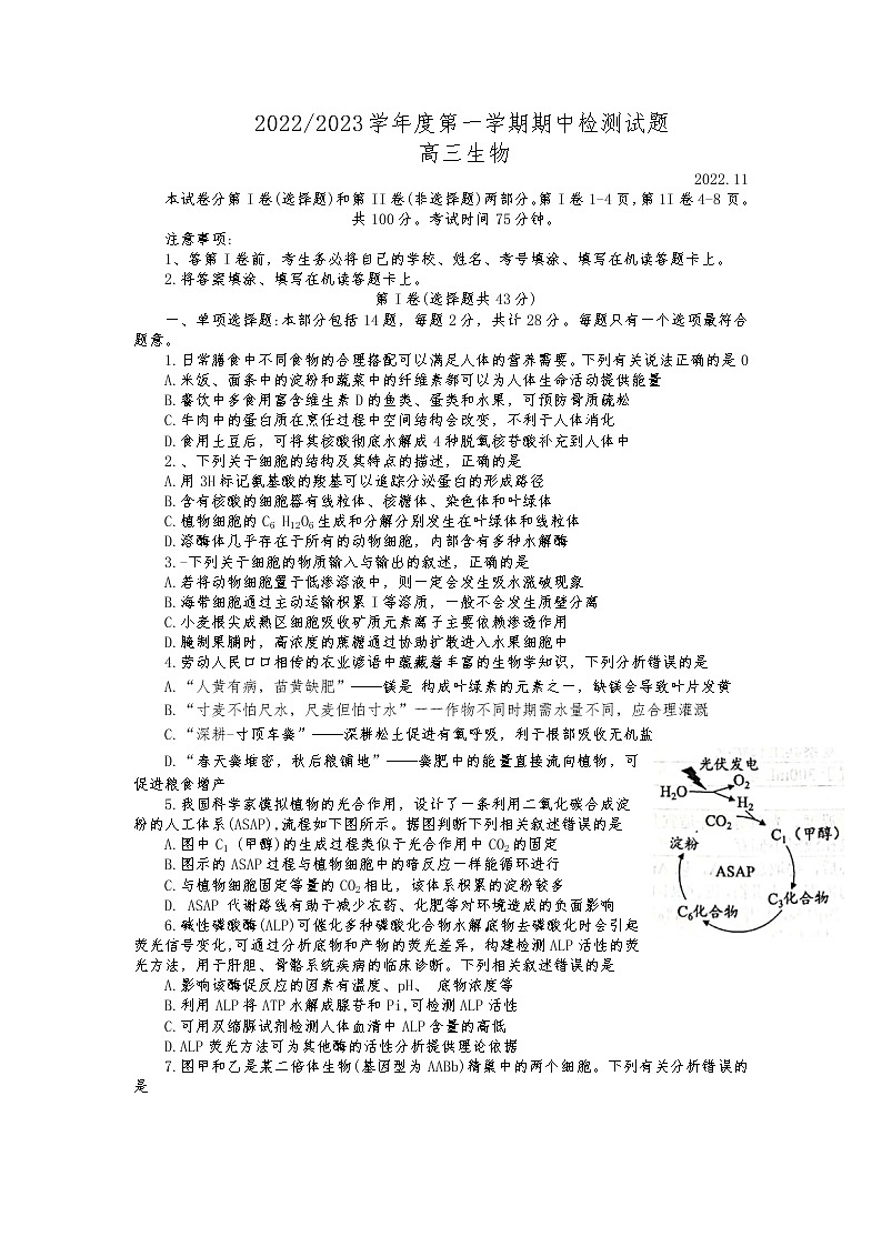江苏省扬州中学2022-2023学年高三上学期期中考试生物试卷第1页