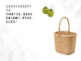 5.2 其他植物激素-高中生物 课件+练习（人教版2019 选择性必修1）