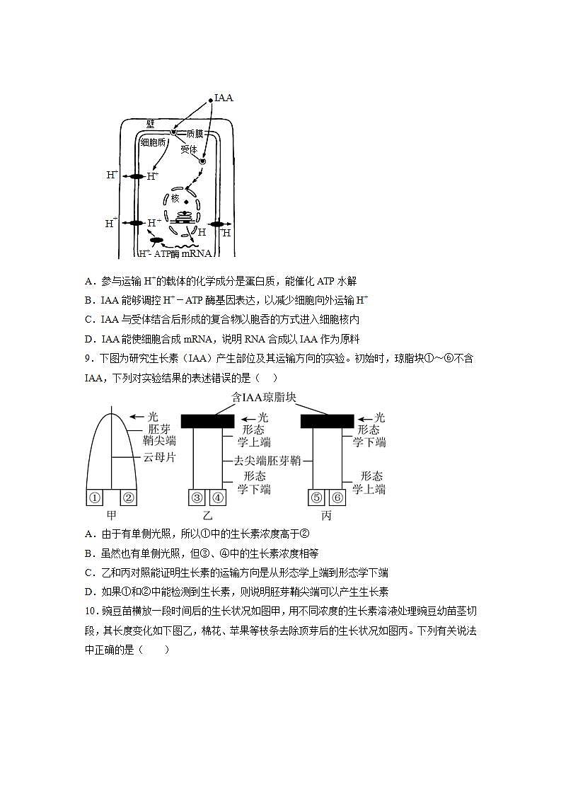 5.1 植物生长素（练习题）第3页