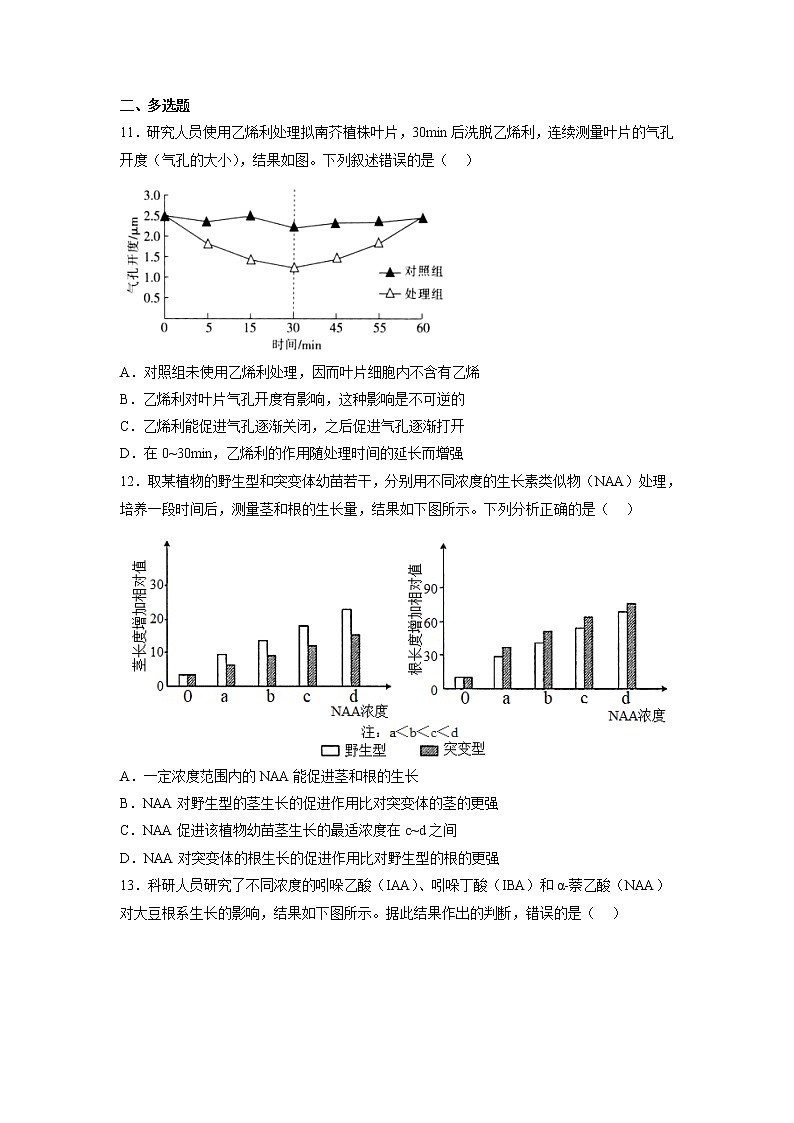 5.3 植物生长调节剂的应用-高中生物 课件+练习（人教版2019 选择性必修1）03