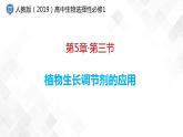 5.3 植物生长调节剂的应用-高中生物 课件+练习（人教版2019 选择性必修1）