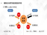 5.3 植物生长调节剂的应用-高中生物 课件+练习（人教版2019 选择性必修1）
