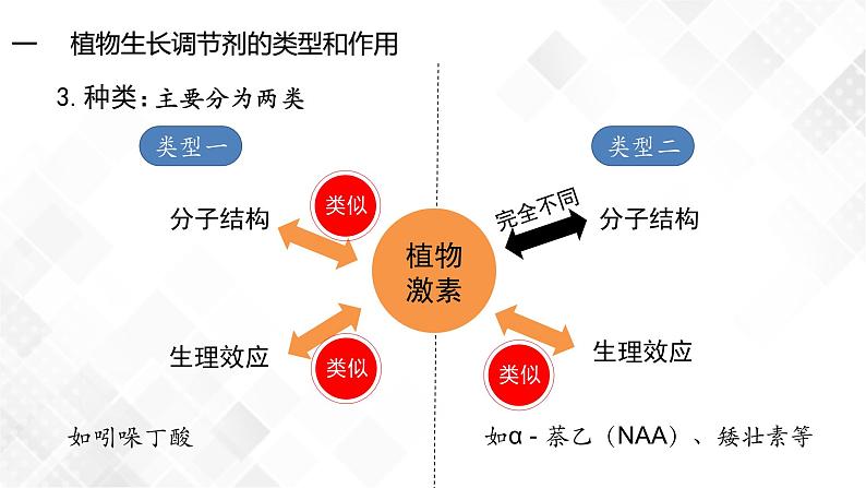 5.3 植物生长调节剂的应用-高中生物 课件+练习（人教版2019 选择性必修1）03