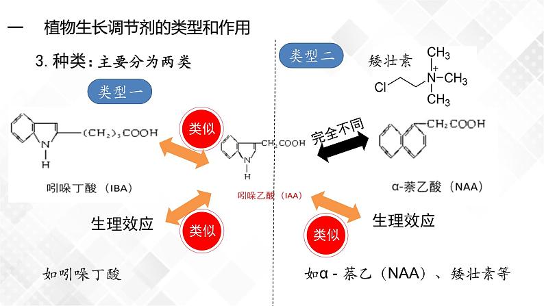 5.3 植物生长调节剂的应用-高中生物 课件+练习（人教版2019 选择性必修1）04