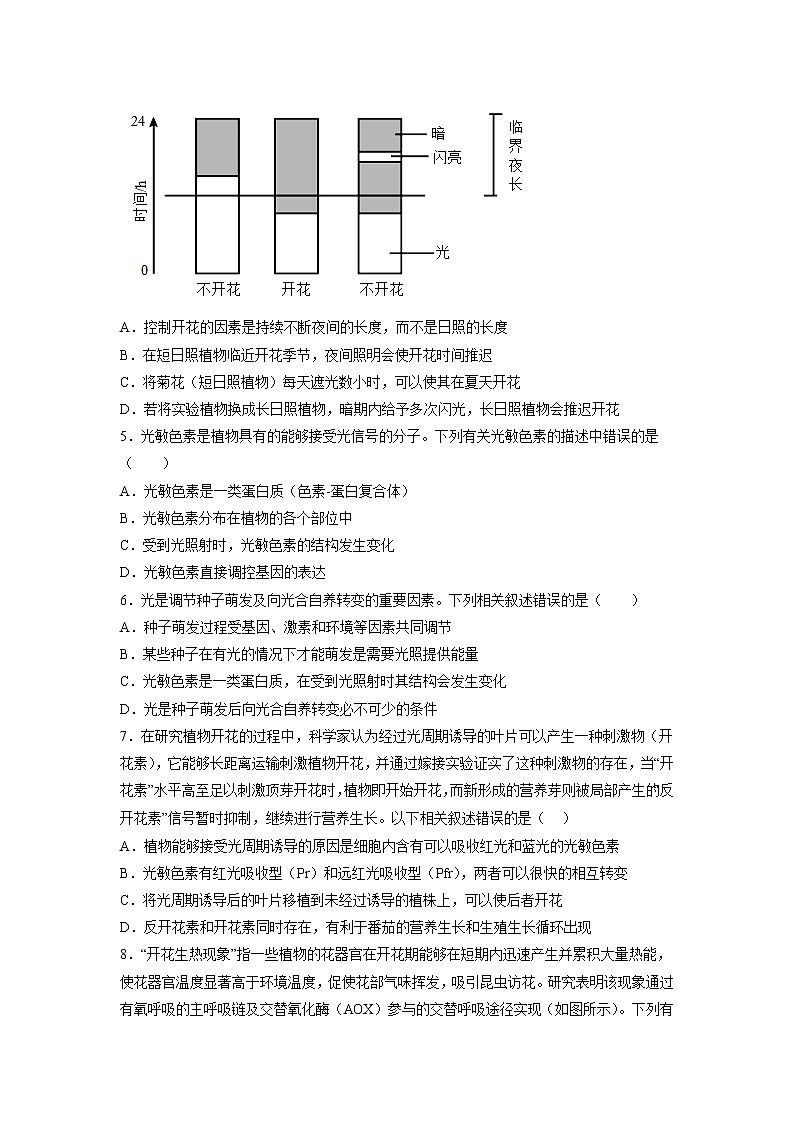 5.4 环境因素参与调节植物的生命活动-高中生物 课件+练习（人教版2019 选择性必修1）02