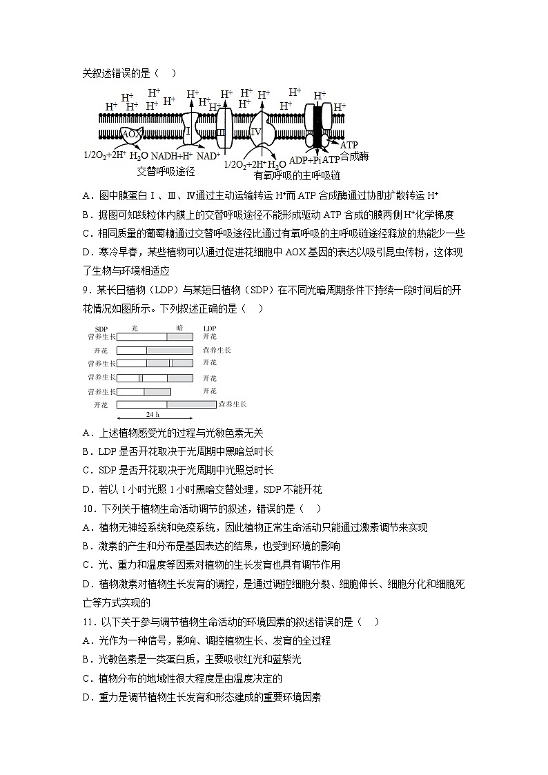 5.4 环境因素参与调节植物的生命活动-高中生物 课件+练习（人教版2019 选择性必修1）03