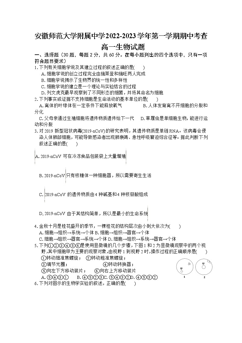 安徽师范大学附属中学2022-2023学年高一生物上学期期中考试题（Word版附答案）01