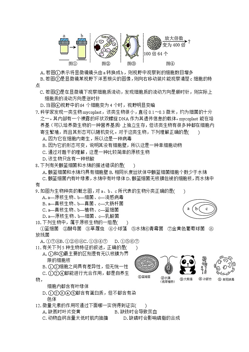 安徽师范大学附属中学2022-2023学年高一生物上学期期中考试题（Word版附答案）02