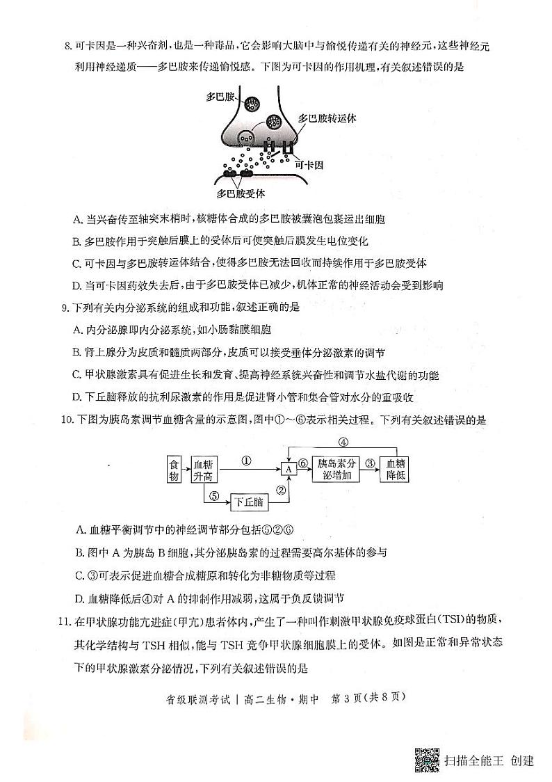 河北省沧州市2022-2023学年高二生物上学期11月期中试卷（PDF版附解析）03