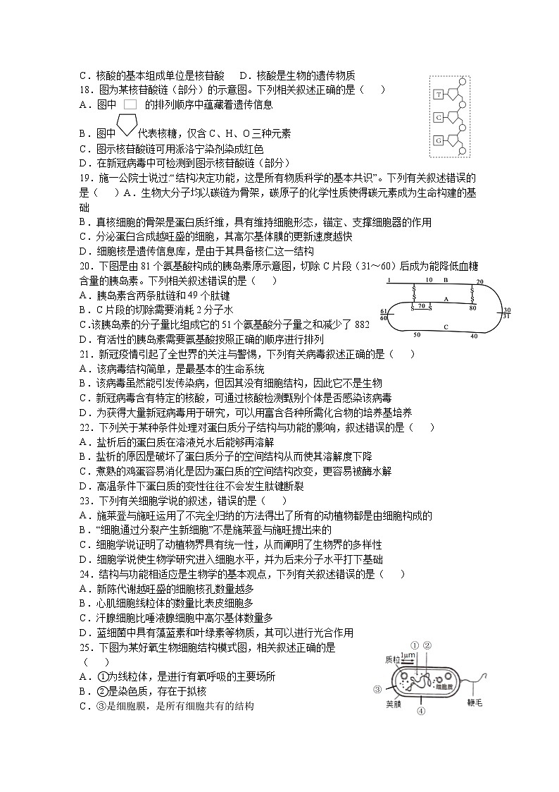 江苏省扬州中学2022-2023学年高一生物上学期期中检测试题（Word版附答案）03