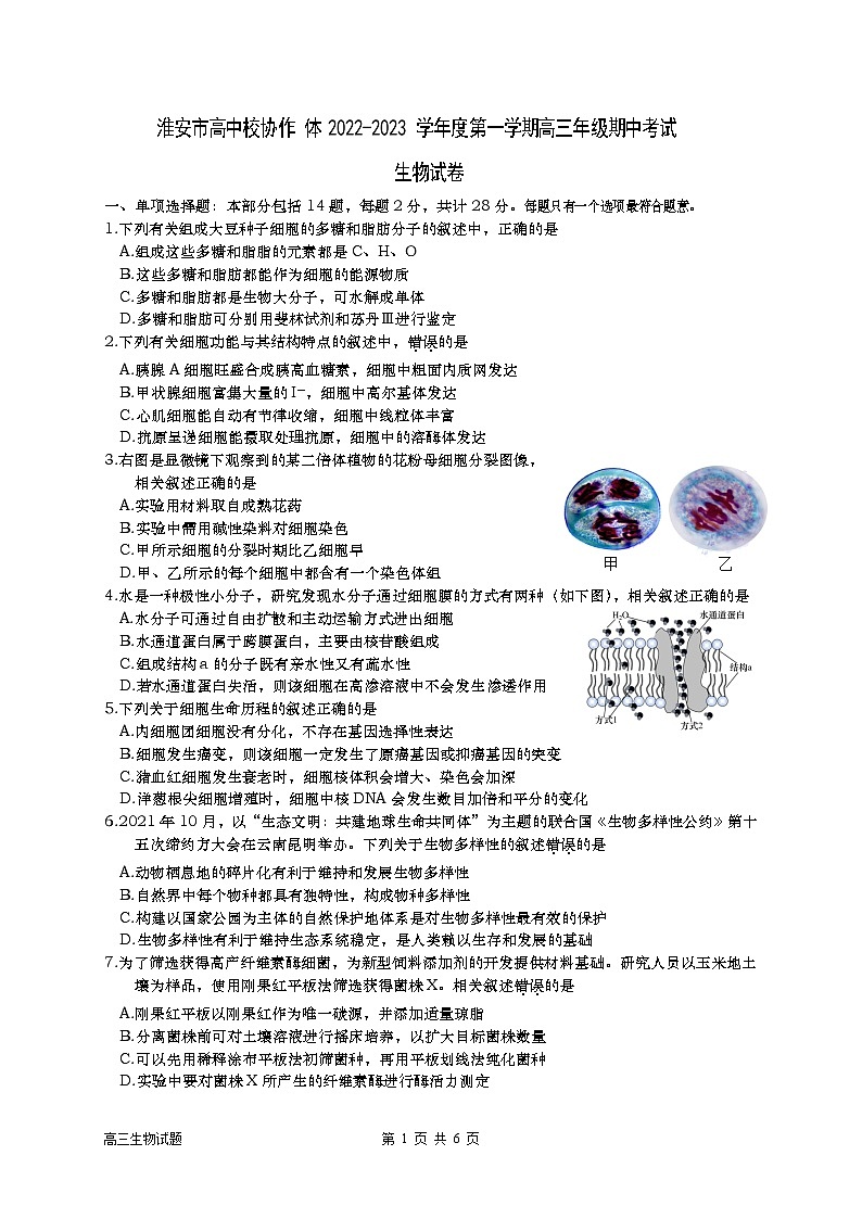 江苏省淮安市高中校协作体2023届高三生物上学期期中试题（Word版附答案）第1页