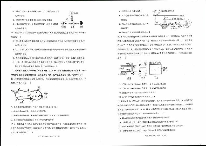 辽宁省实验中学2022-2023学年高三生物上学期期中试题（PDF版附答案）第3页