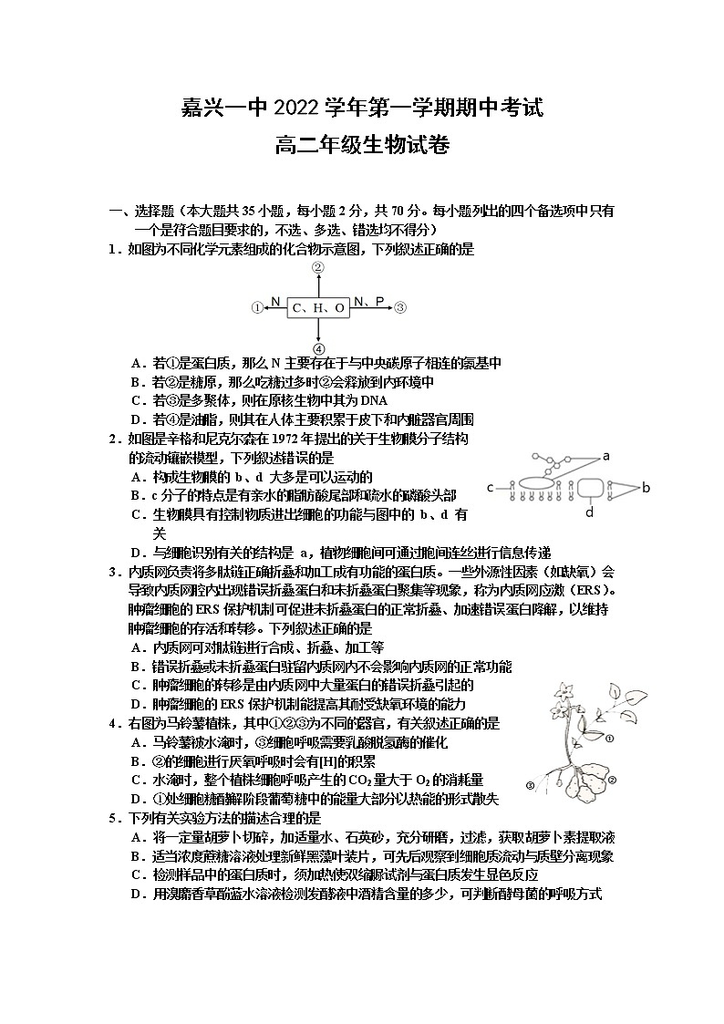 浙江省嘉兴市第一中学2022-2023学年高二生物上学期期中试题（Word版附答案）第1页