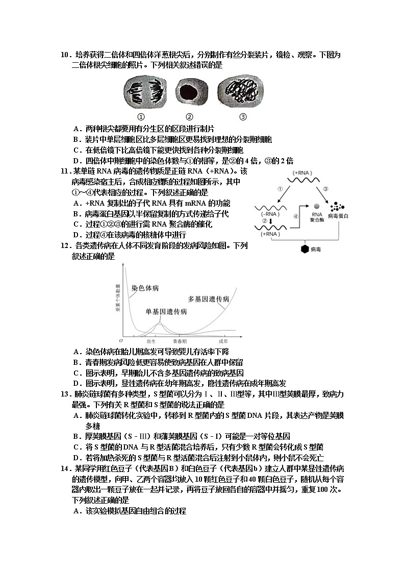 浙江省嘉兴市第一中学2022-2023学年高二生物上学期期中试题（Word版附答案）第3页