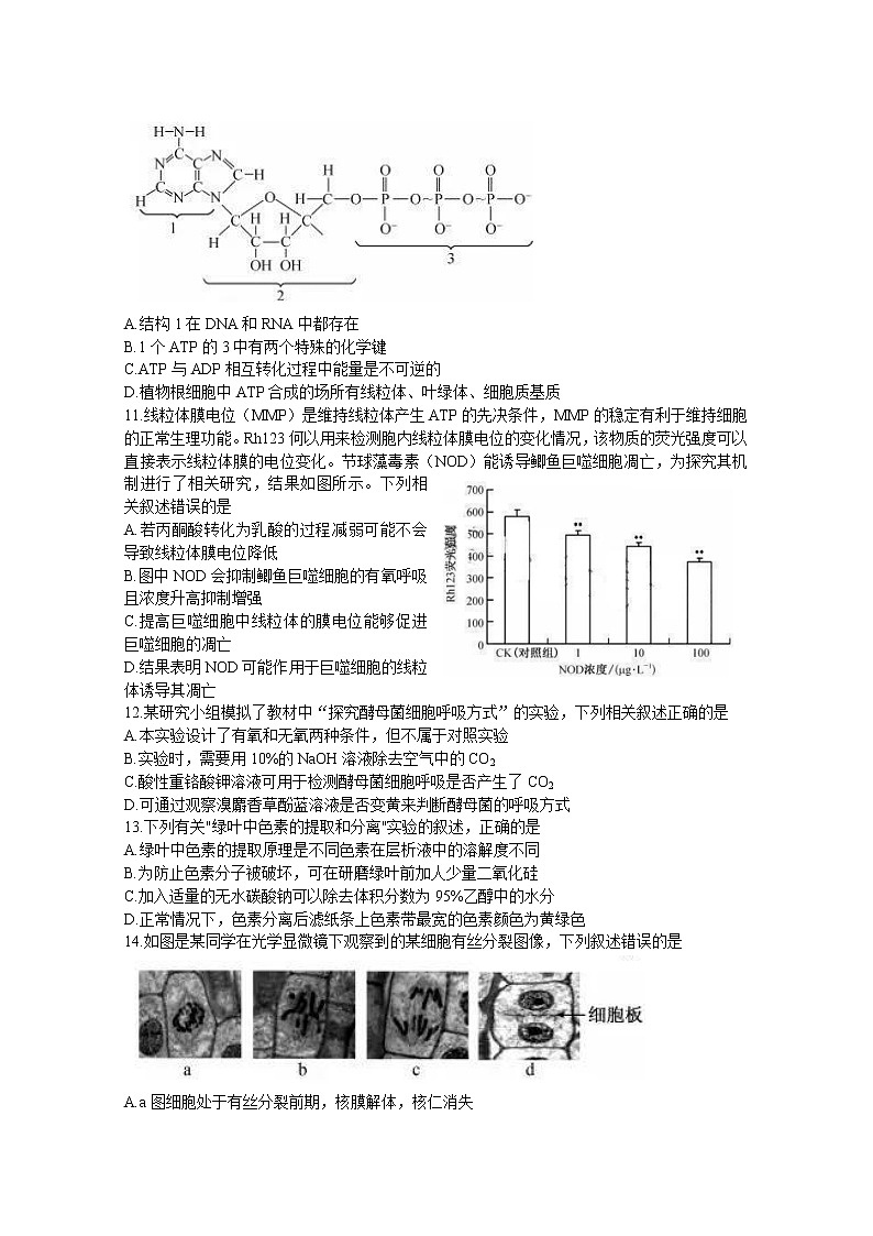 湖北省宜昌市协作体2022-2023学年高三生物上学期期中考试试题（Word版附解析）第3页