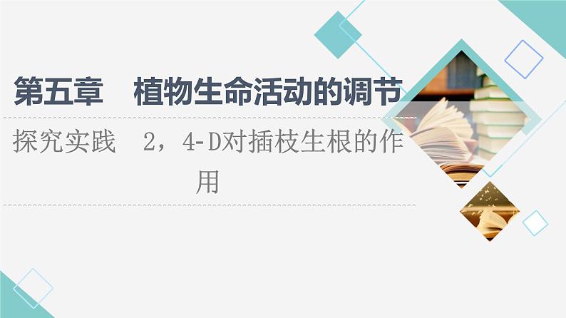 浙科版高中生物选择性必修1第5章探究实践2，4­D对插枝生根的作用 课件01