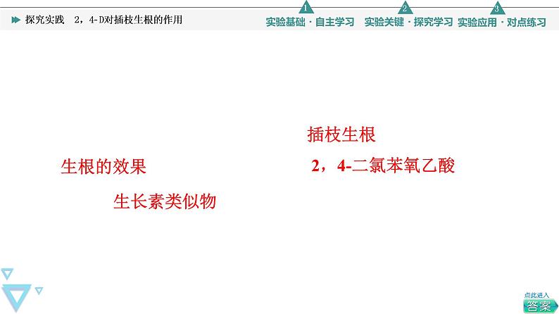 浙科版高中生物选择性必修1第5章探究实践2，4­D对插枝生根的作用 课件03