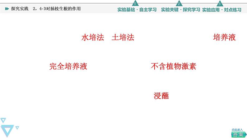 浙科版高中生物选择性必修1第5章探究实践2，4­D对插枝生根的作用 课件05