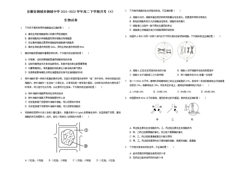 2021-2022学年安徽省桐城市桐城中学高二下学期月考（4）生物试题含答案第1页