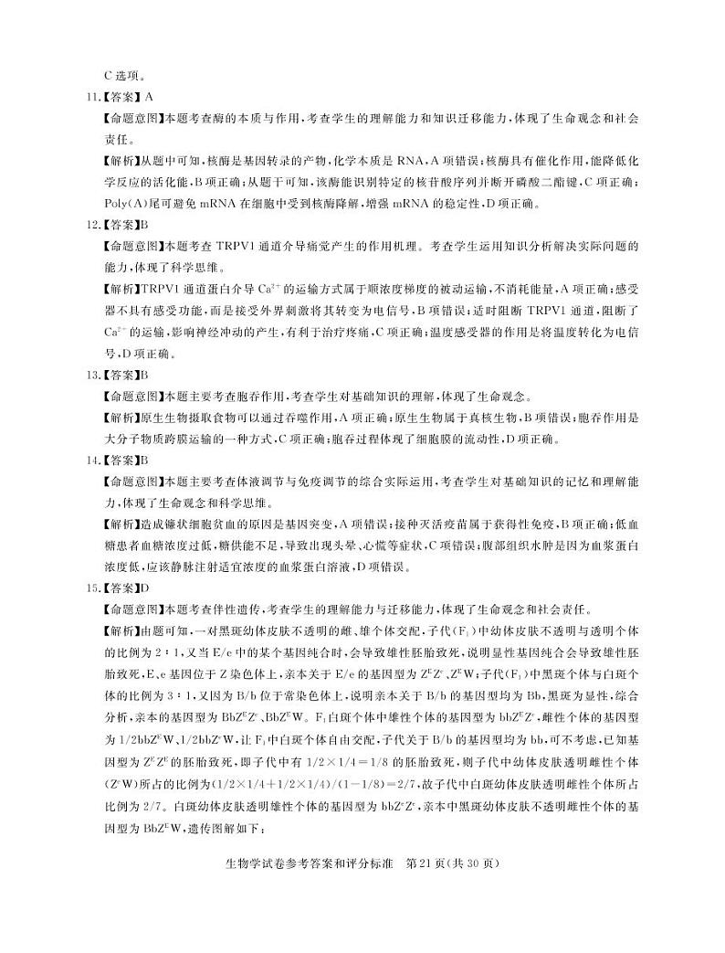 2022届湖北省高三新高考信息卷（四）生物试题PDF版含答案03