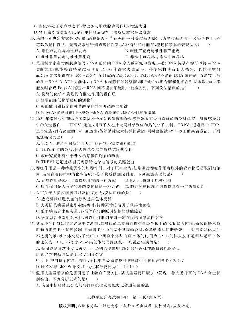 2022届湖北省高三新高考信息卷（四）生物试题PDF版含答案03