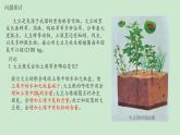 高中生物选择性必修二 3.1生态系统的结构 课件