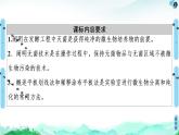 高中生物选择性必修三  第1章 第2节 第1课时 微生物的基本培养技术 课件