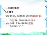 高中生物选择性必修三  第2章 第1节 第2课时 植物细胞工程的应用 课件