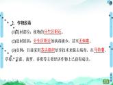 高中生物选择性必修三  第2章 第1节 第2课时 植物细胞工程的应用 课件