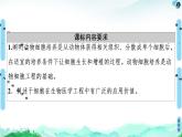 高中生物选择性必修三  第2章 第2节 第1课时 动物细胞培养 课件