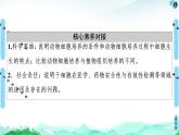 高中生物选择性必修三  第2章 第2节 第1课时 动物细胞培养 课件