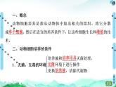 高中生物选择性必修三  第2章 第2节 第1课时 动物细胞培养 课件