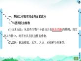高中生物选择性必修三  第3章 第3节 基因工程的应用 课件