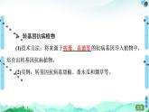 高中生物选择性必修三  第3章 第3节 基因工程的应用 课件