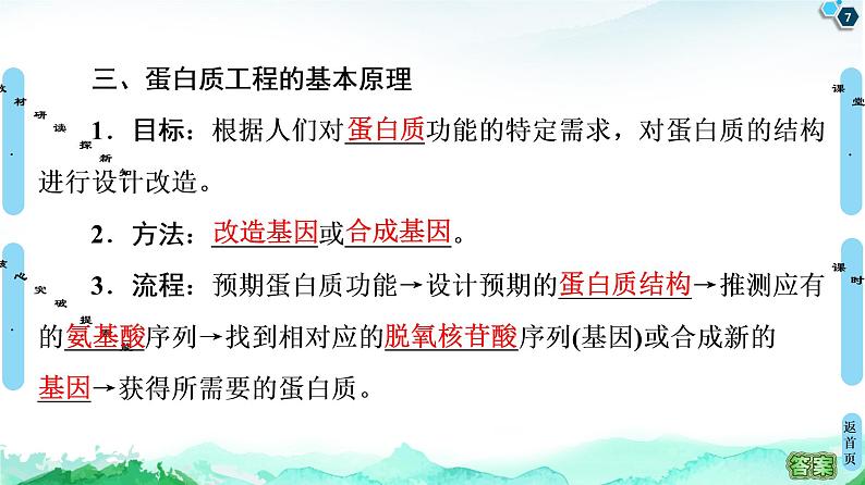 高中生物选择性必修三  第3章 第4节 蛋白质工程的原理和应用 课件第7页