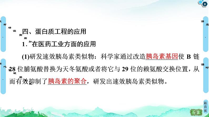 高中生物选择性必修三  第3章 第4节 蛋白质工程的原理和应用 课件第8页