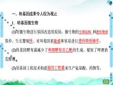 高中生物选择性必修三  第4章 第1节 转基因产品的安全性 课件