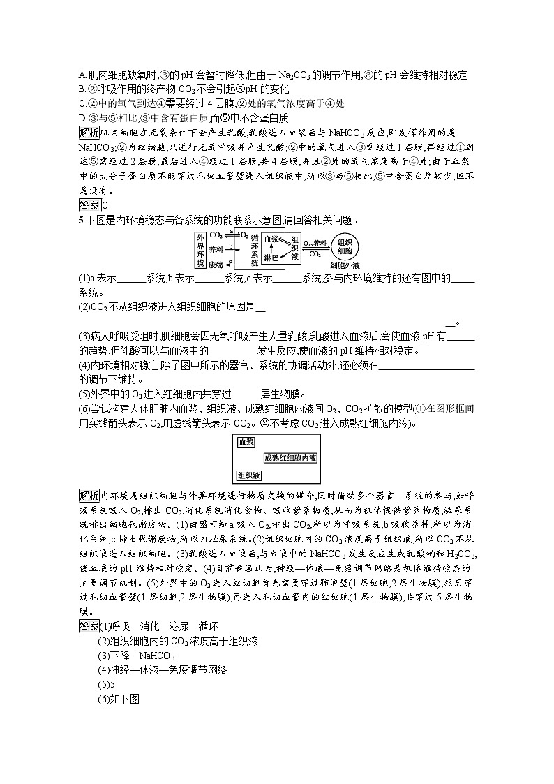 高中生物选择性必修一   第1章　第2节　内环境的稳态 课后提升训练第2页