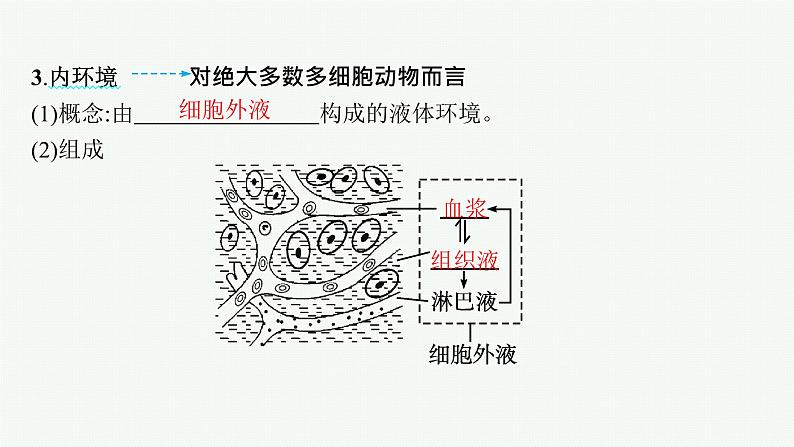 人教版高中生物选择性必修一细胞生活的环境课件第8页