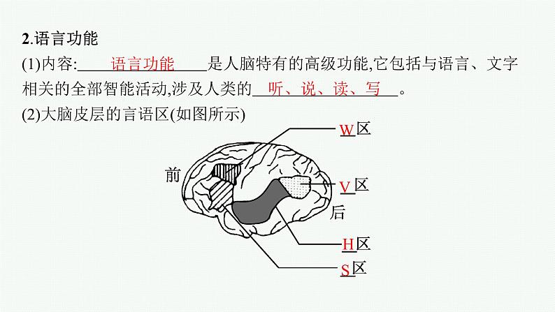 人教版高中生物选择性必修一人脑的高级功能课件06